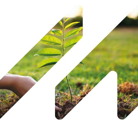 sürdürülebilirlik1